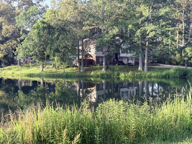 fishing pond